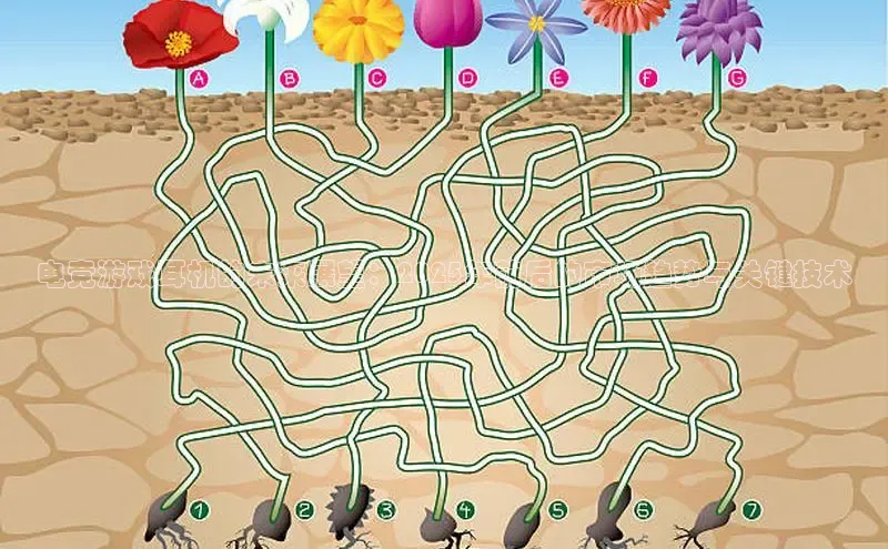 乐虎游戏官方网站